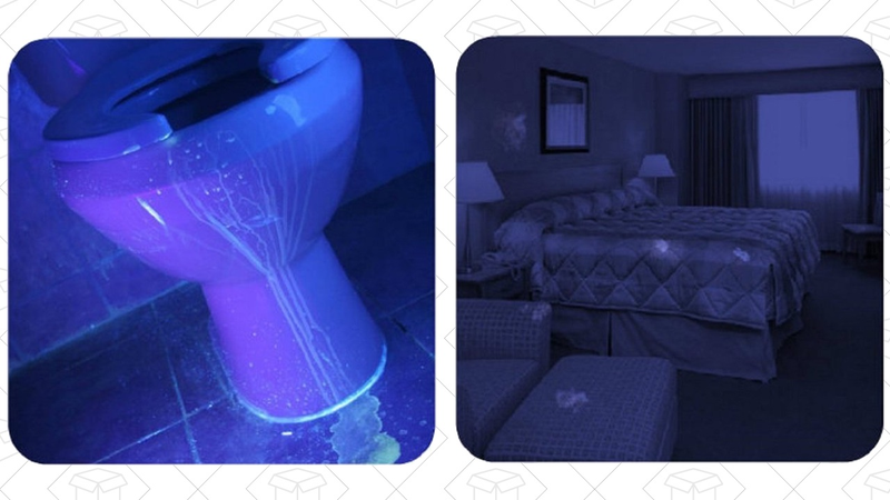 UV Flashlight, $12 with code WDU3S94L